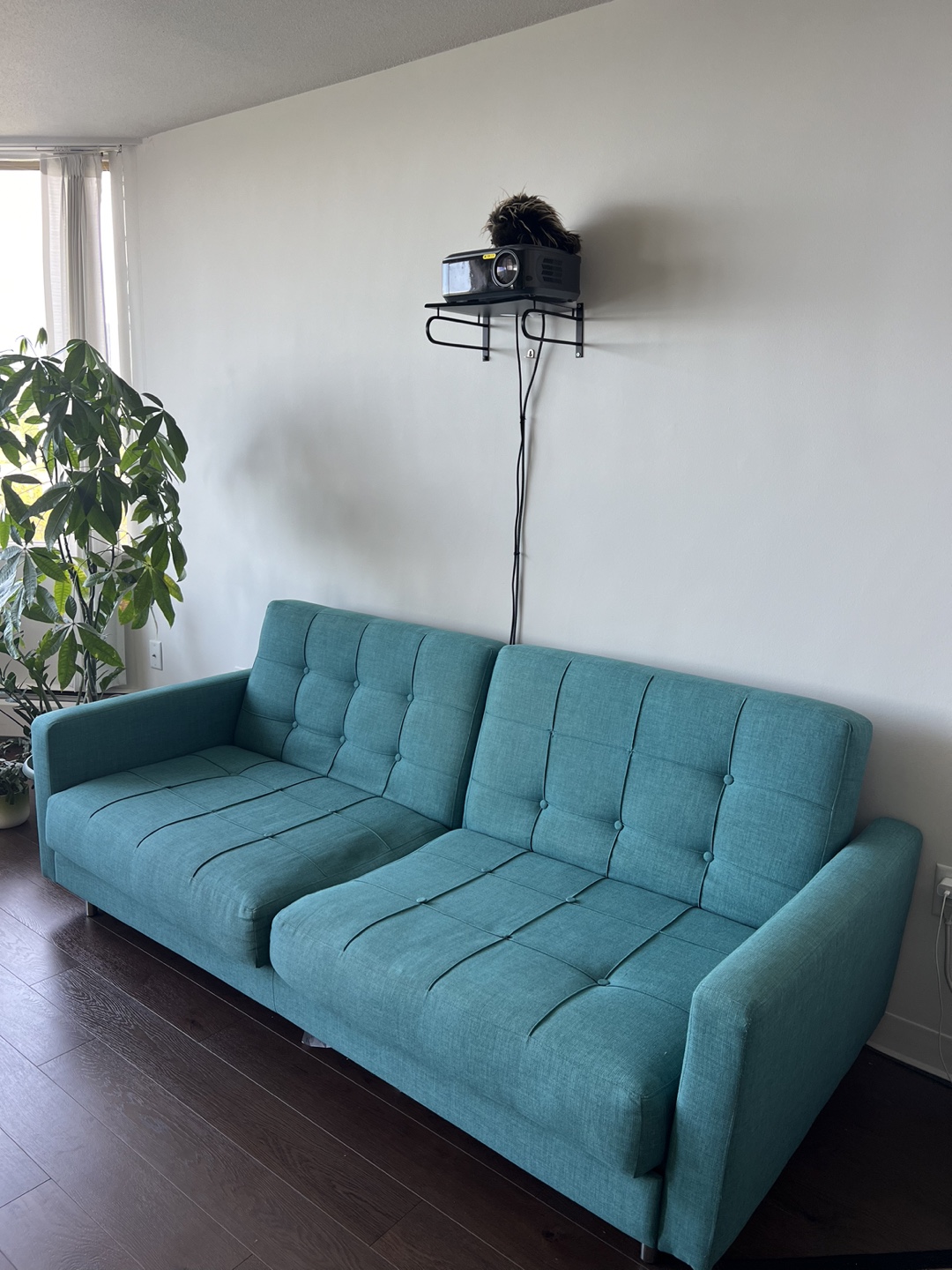 (Moving Sale) Teal Sofa Bed - Stylish, Comfy, and Multi-Purpose