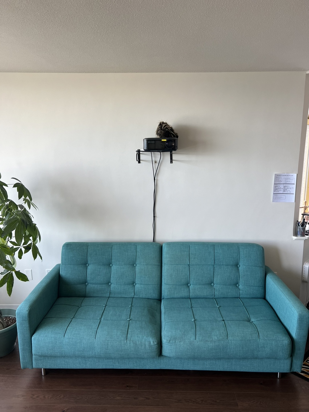 (Moving Sale) Teal Sofa Bed - Stylish, Comfy, and Multi-Purpose - photo 2