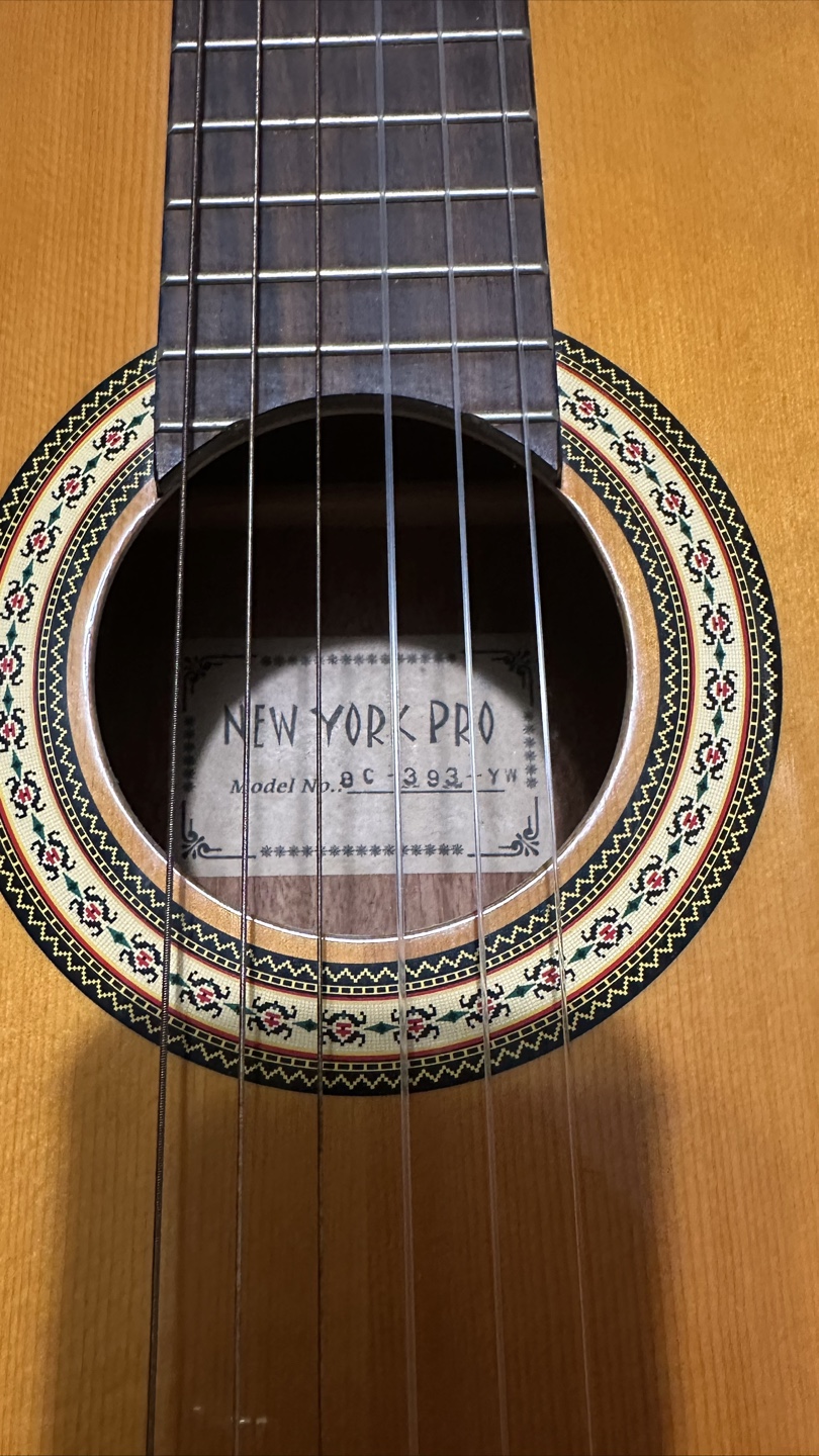 New York Pro Classical Guitar with Gig Bag - photo 2