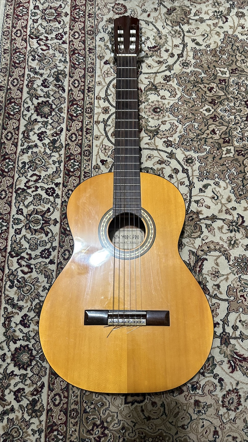 New York Pro Classical Guitar with Gig Bag - photo 3