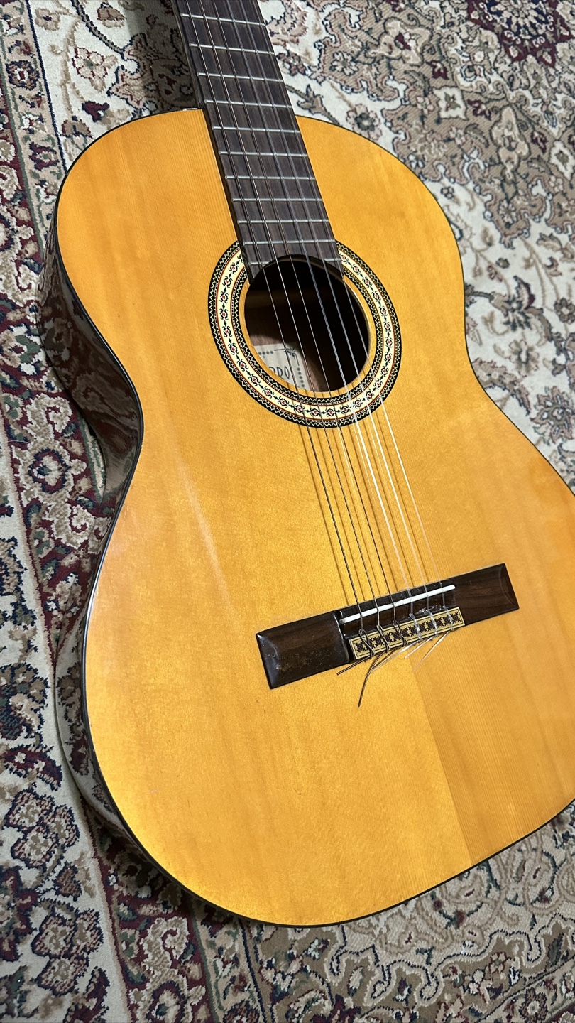 New York Pro Classical Guitar with Gig Bag - photo 5