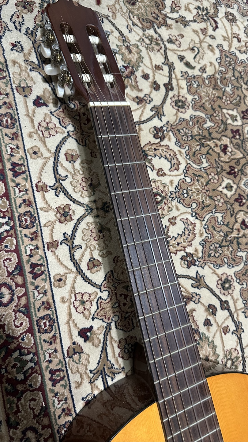 New York Pro Classical Guitar with Gig Bag - photo 4