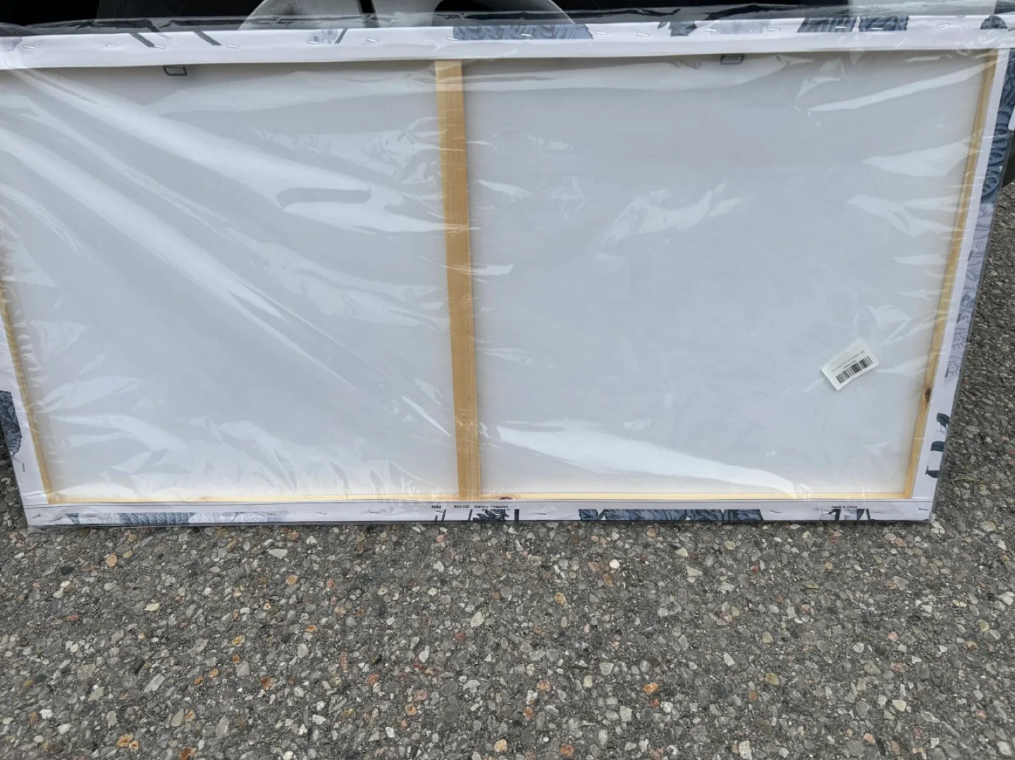 Shades of Grey Floral Canvas Wall Art (20”H x 40”W) image indicator(3)