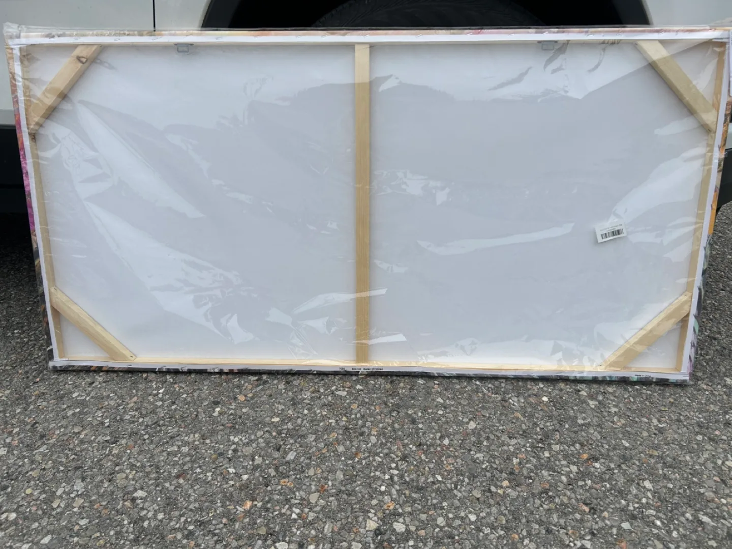 Gorgeous Floral Canvas Wall Art (24”H x 48”W) image indicator(2)