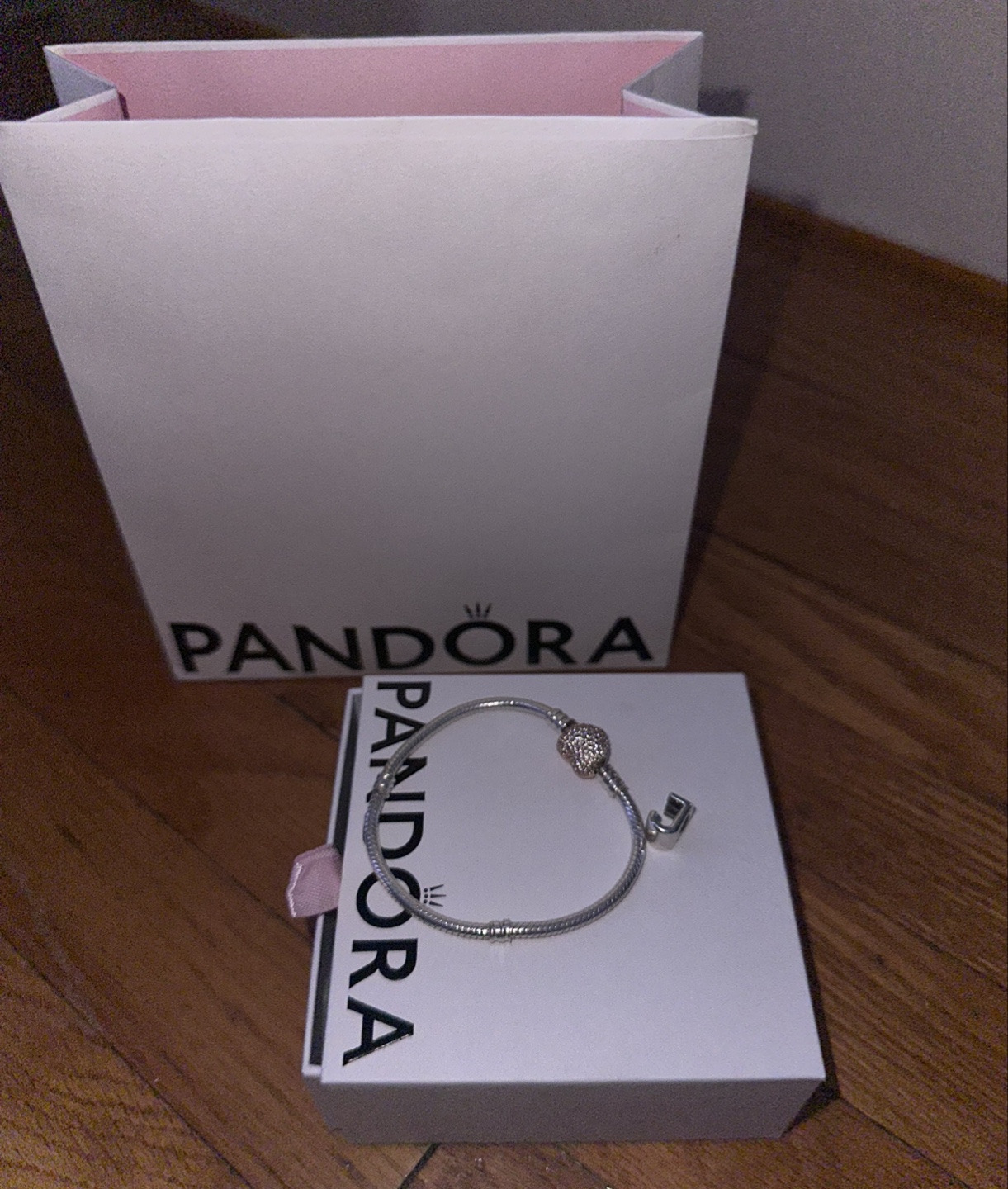 Pandora Bracelet with Charm