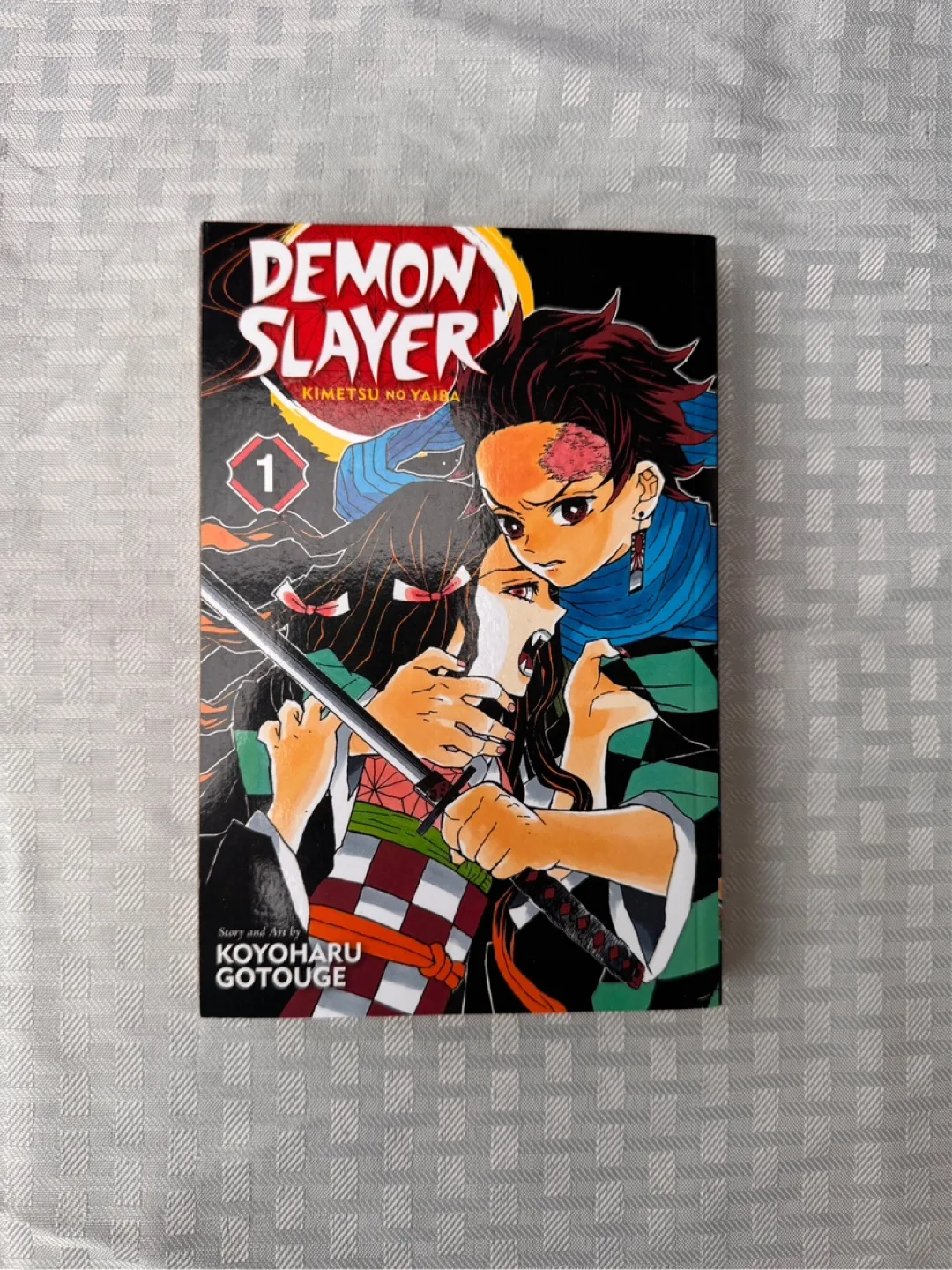 Demon Slayer Vol. 1 Manga thumbnail