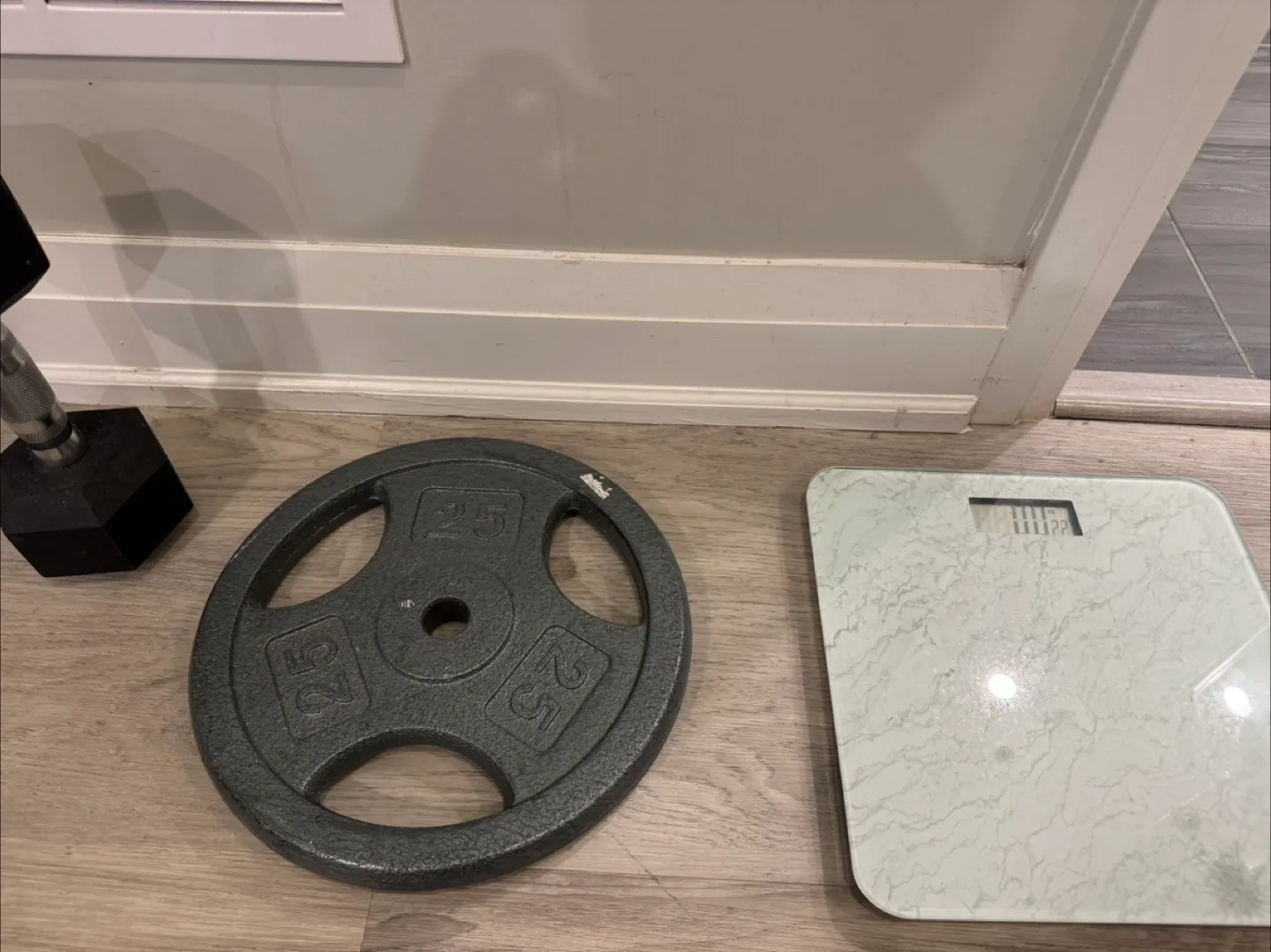 25 lb Weight Plate and Bathroom Scale thumbnail