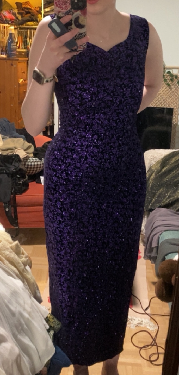 Gorgeous sparkly Purple Velvet long Dress