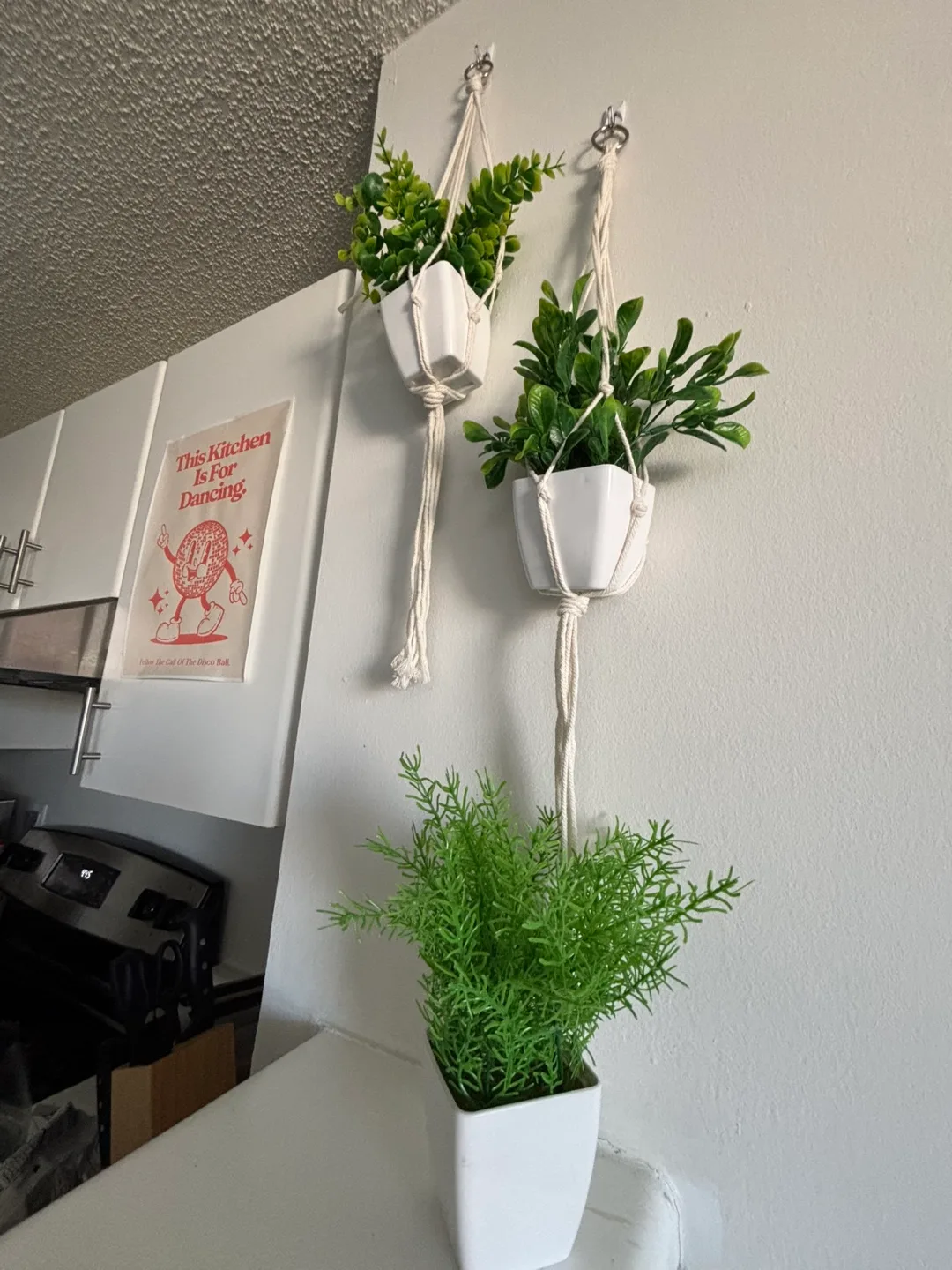 Set of 3 Artificial Plants with Macrame Hangers thumbnail