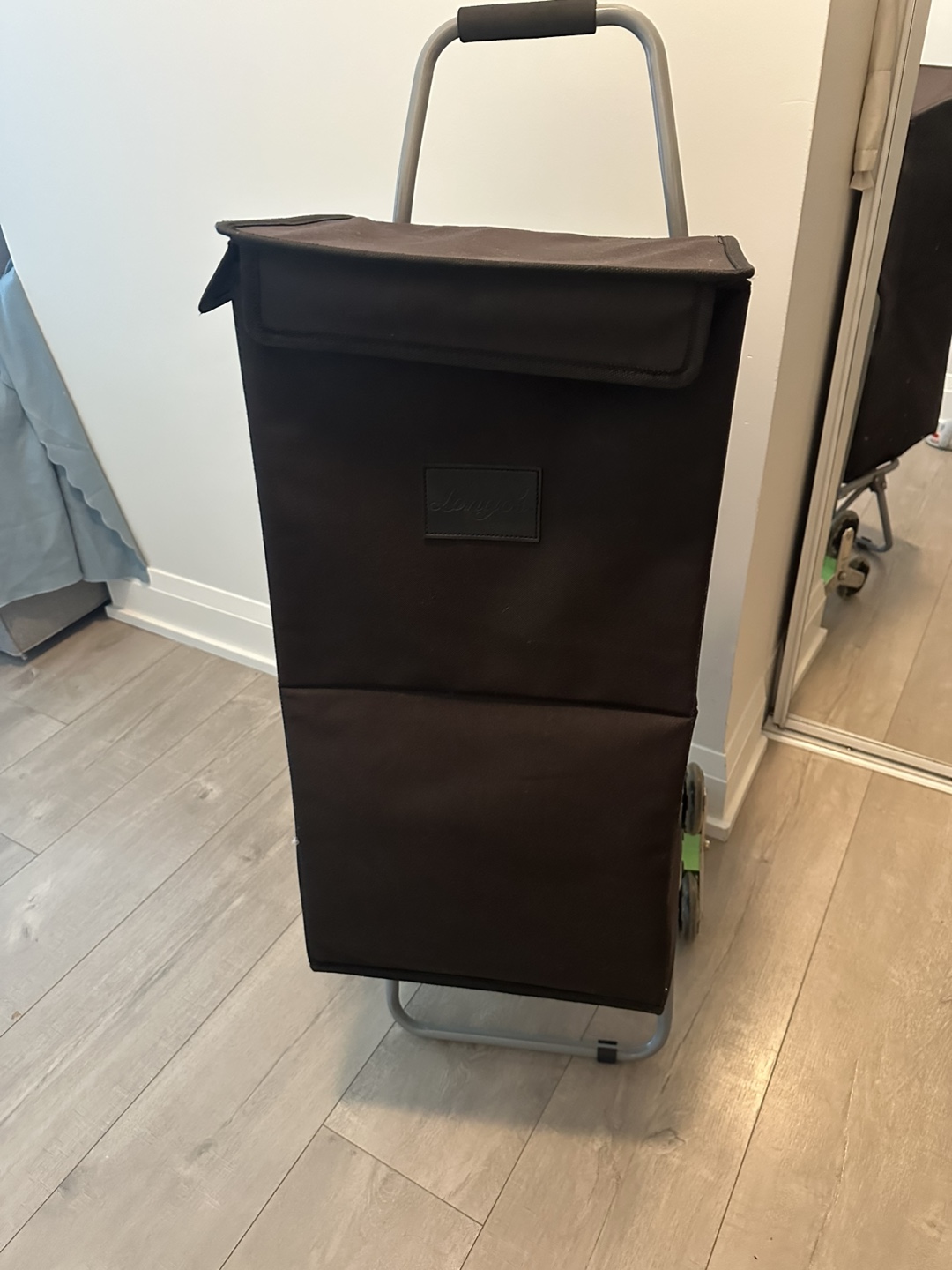 Rolling Shopping Cart with Collapsible Fabric Bag