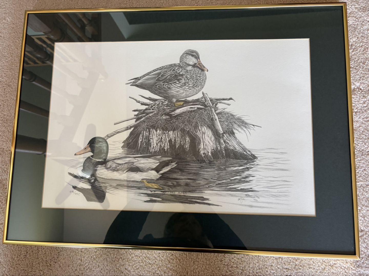 Bernie Brown Framed Print - Mallard Ducks
