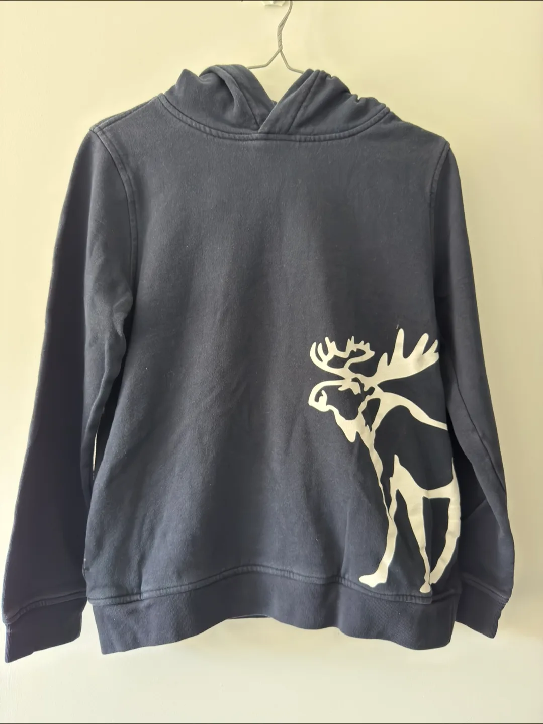 Abercrombie Kids Boys Size 13/14 Moose Hoodie thumbnail