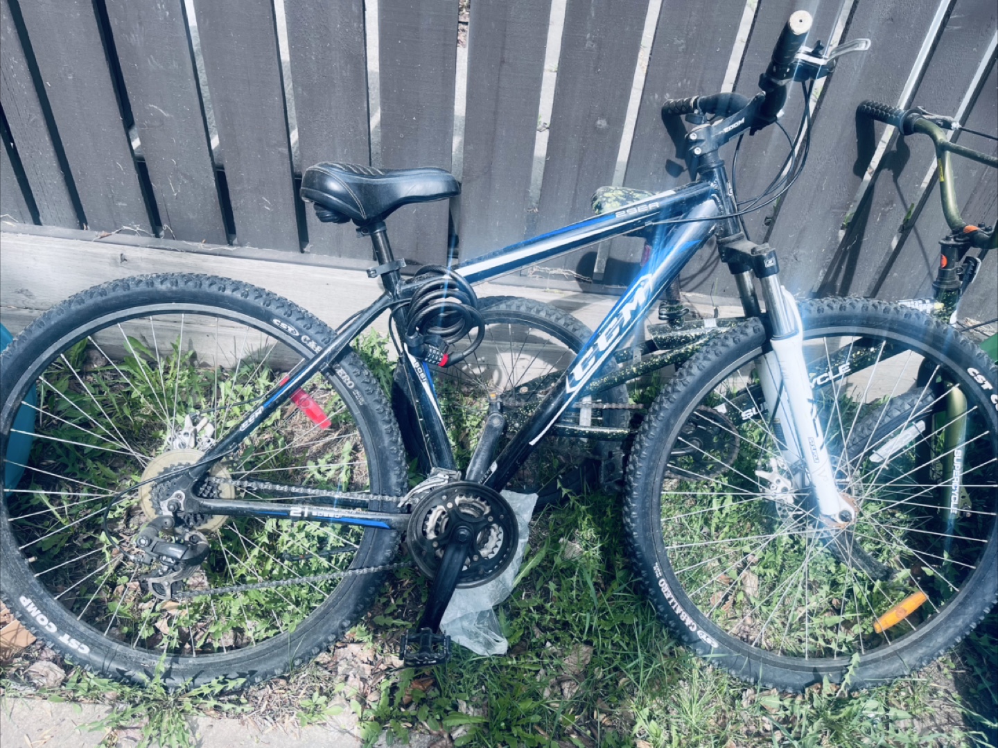 Adult mountain Bike