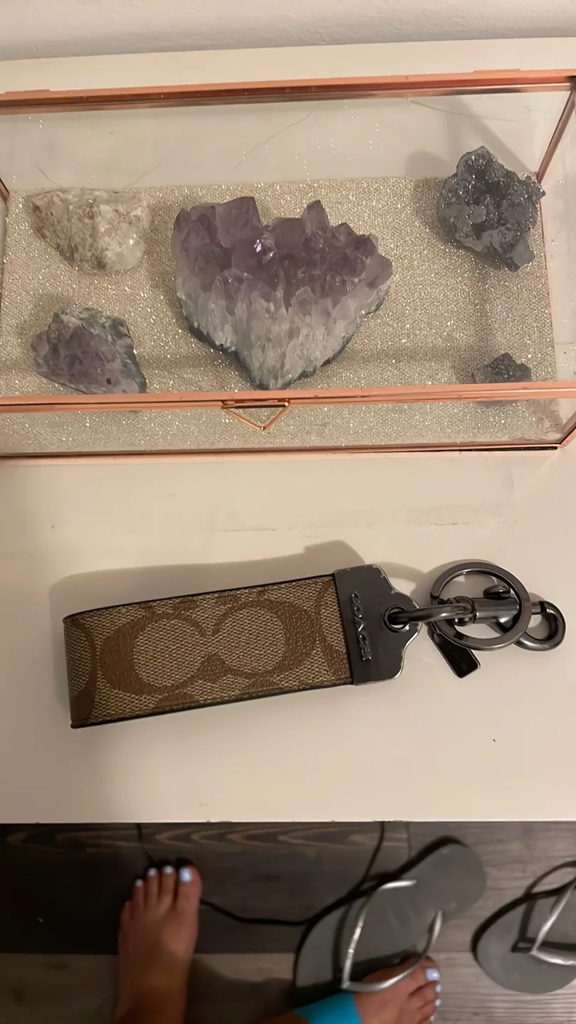 Coach Keychain image indicator(5)