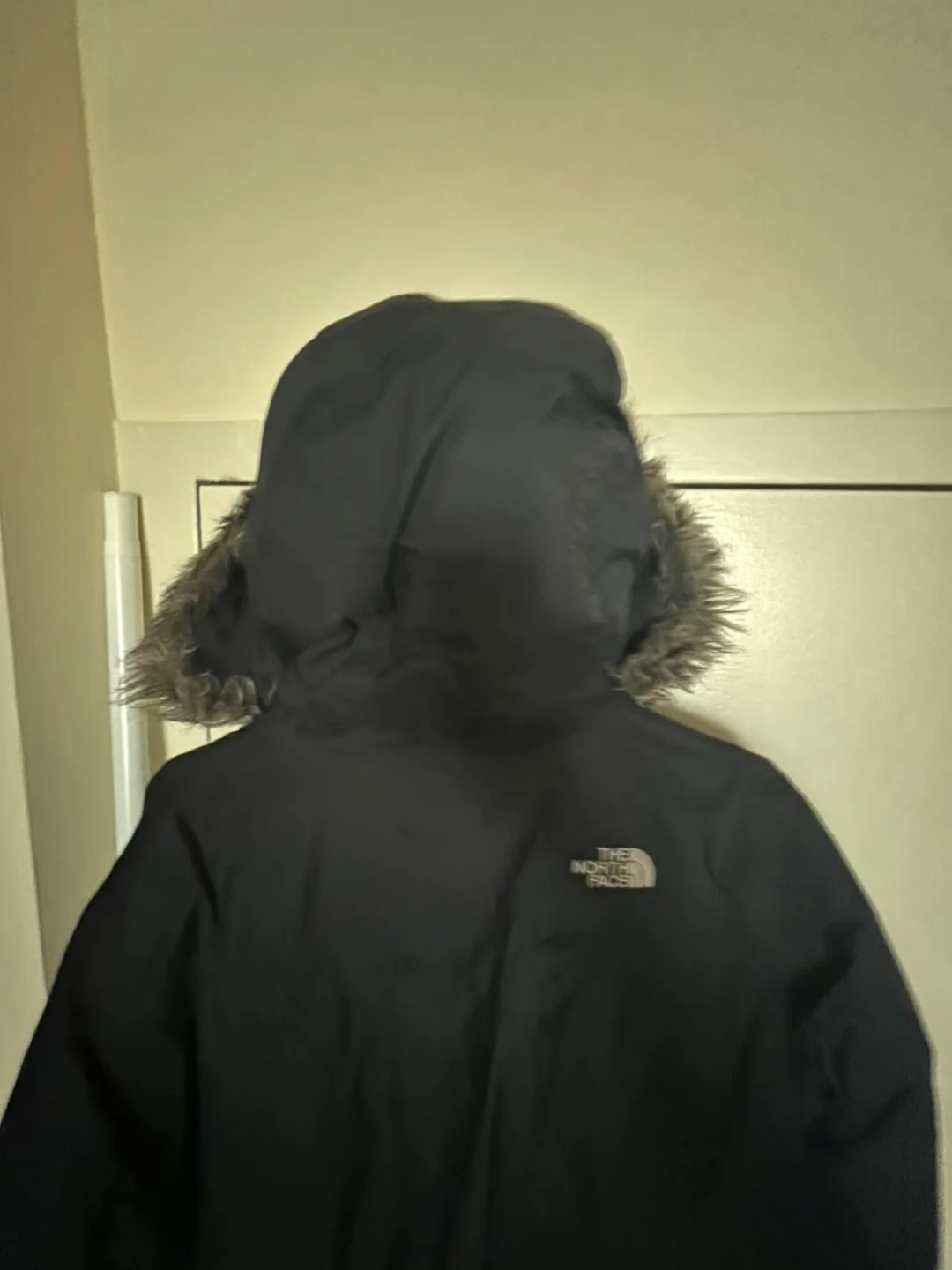 Women's The North Face McMurdo Parka - Size M image indicator(5)