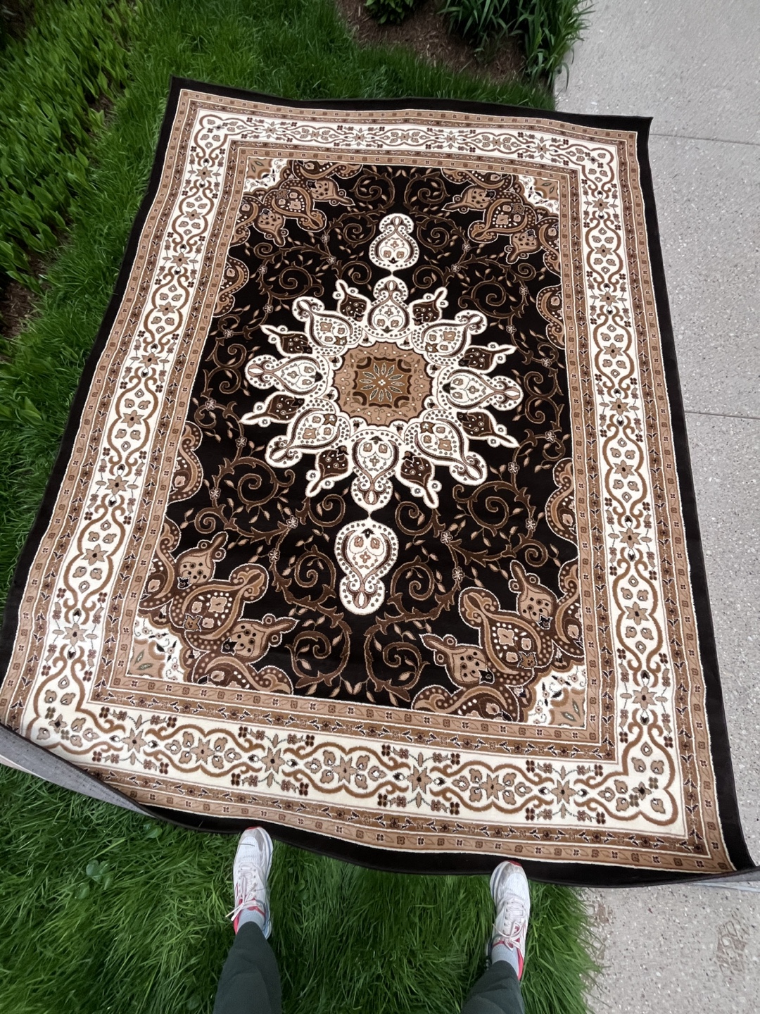 Large Brown and Beige Area Rug - photo 3