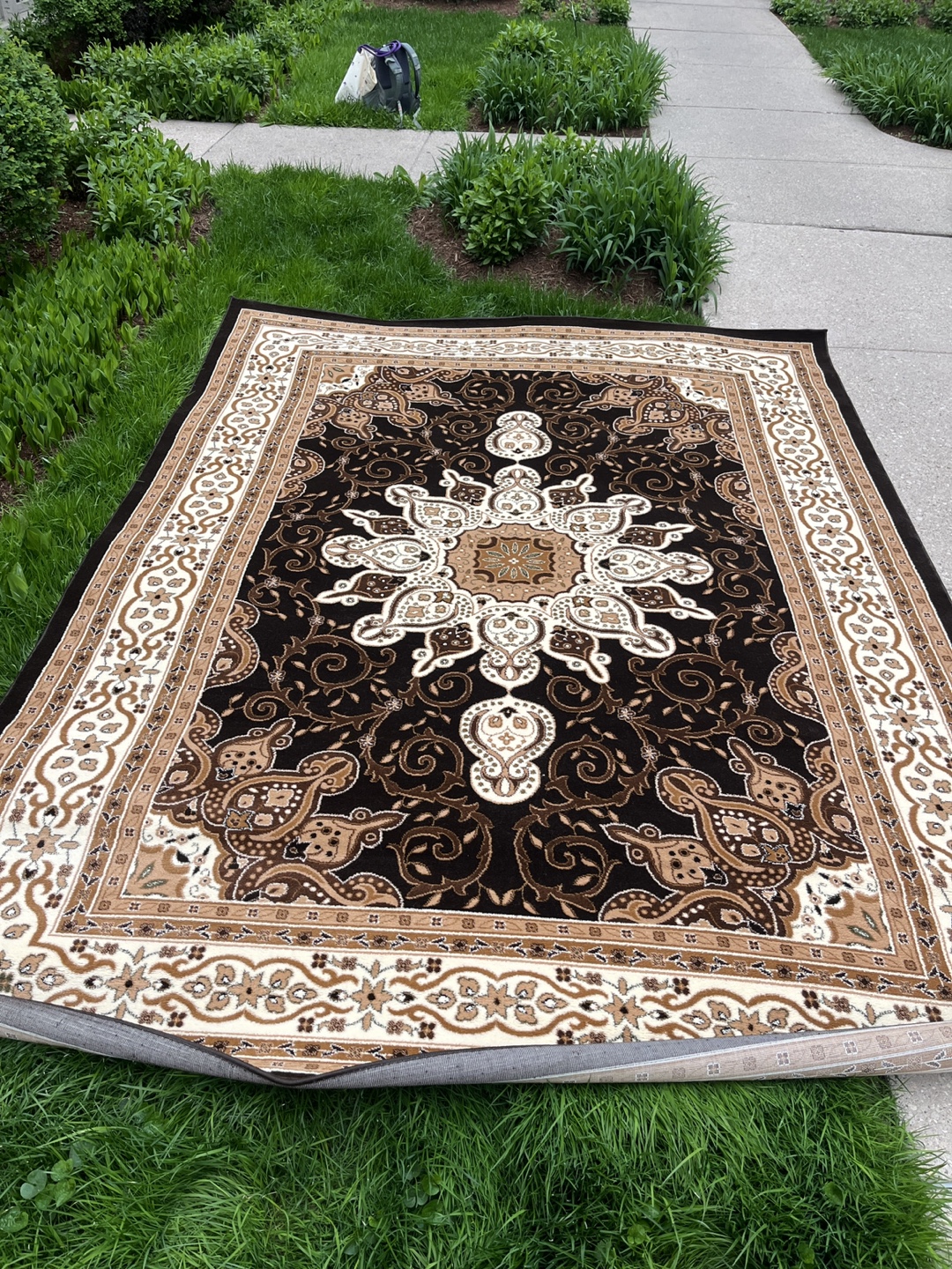 Large Brown and Beige Area Rug