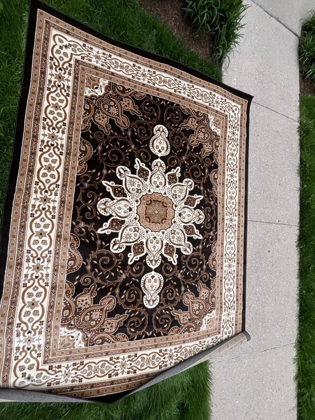 Large Brown and Beige Area Rug - photo 2