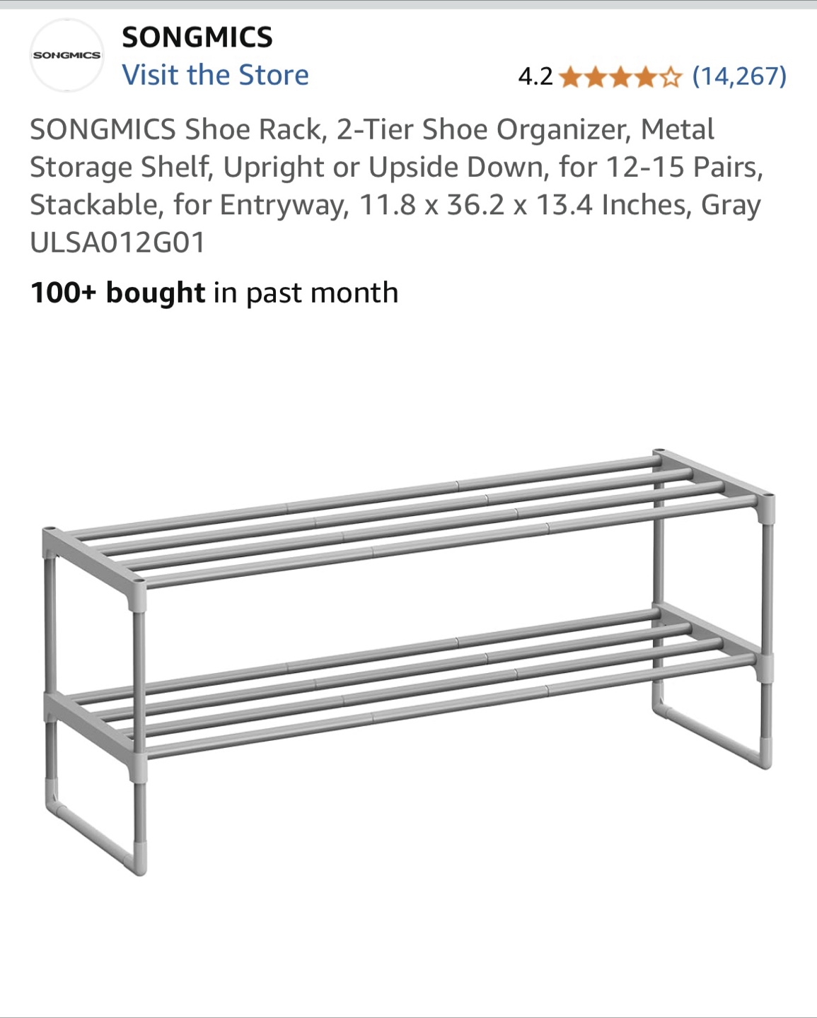 2-Tier Shoe Rack - Gray Metal Organizer