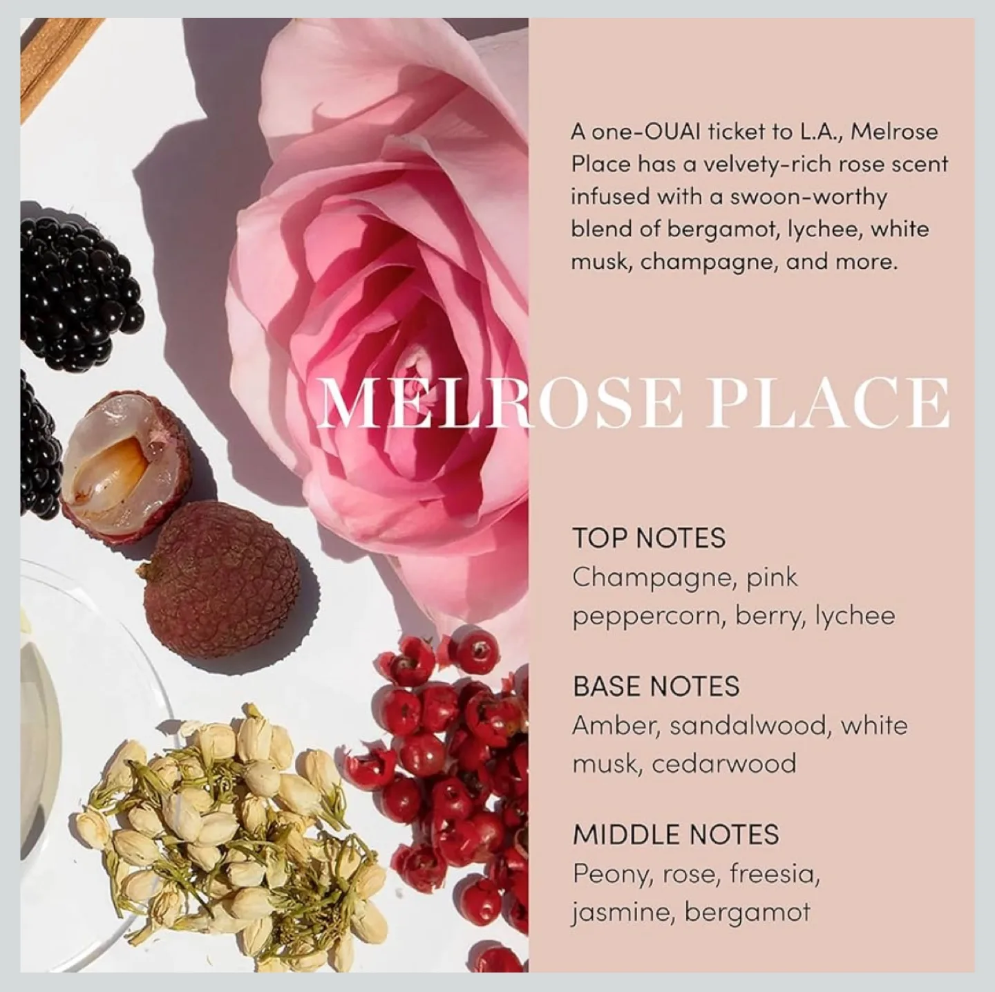 OUAI Detox Shampoo - 10 fl oz / 300 ml image indicator(5)