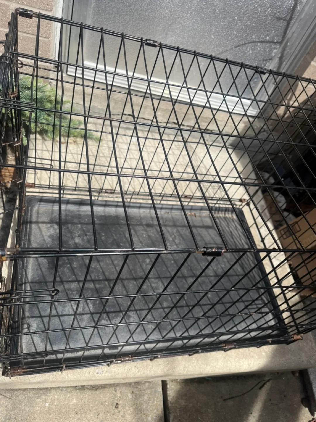 Black wire dog crate image indicator(3)