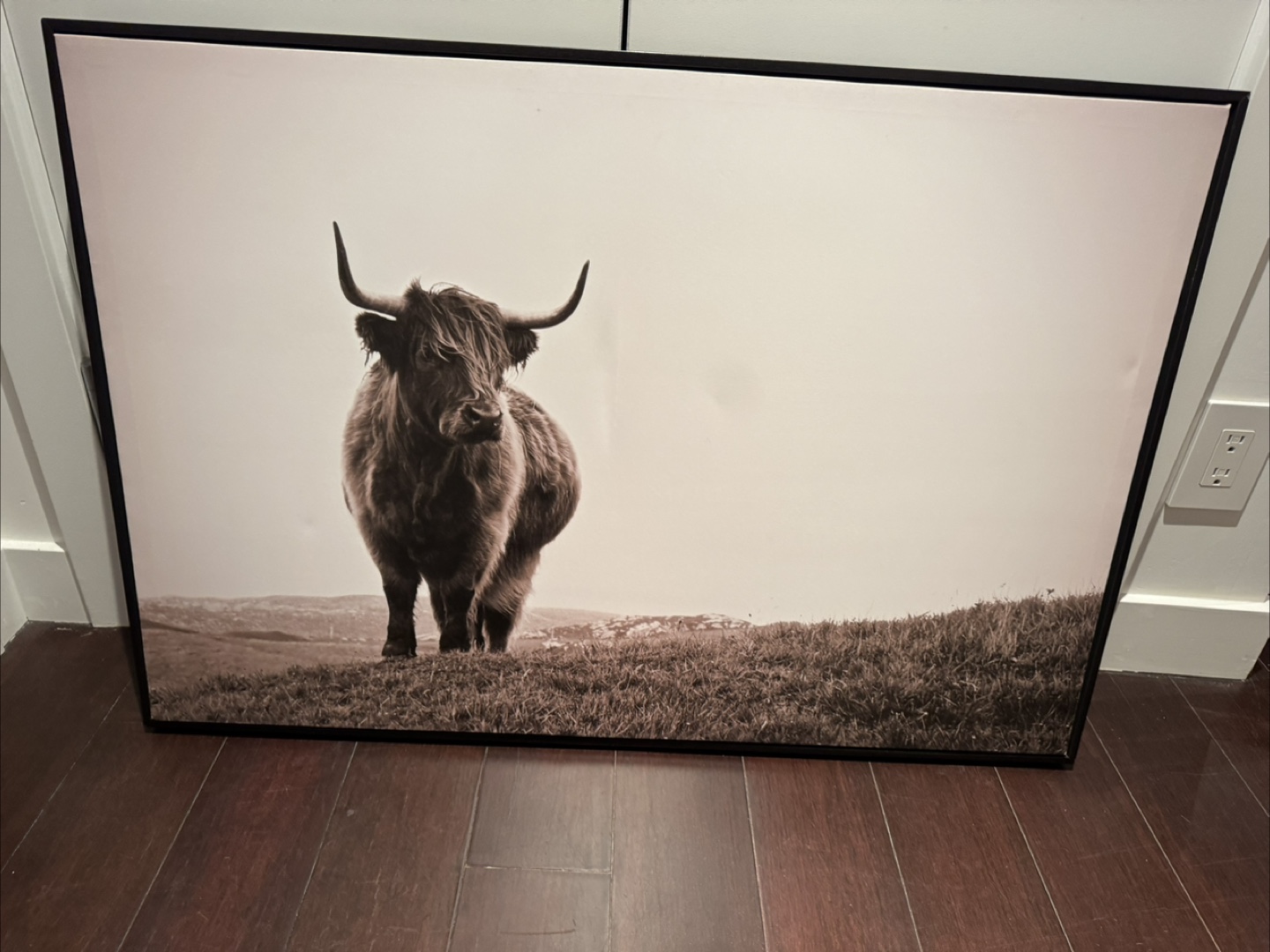 Large Highland Cow Canvas Wall Art