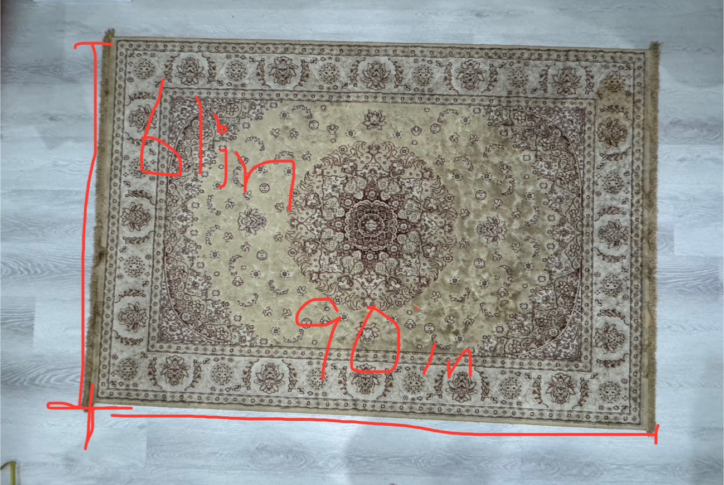 Large Beige and Brown Oriental Rug - 6ft x 9ft - photo 4