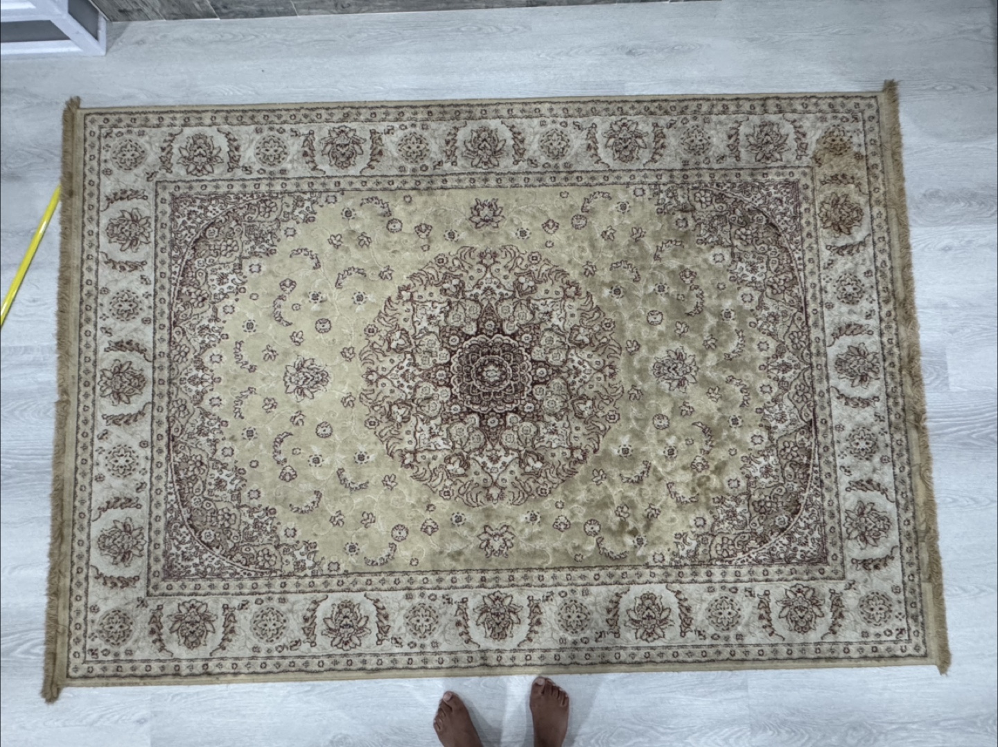 Large Beige and Brown Oriental Rug - 6ft x 9ft