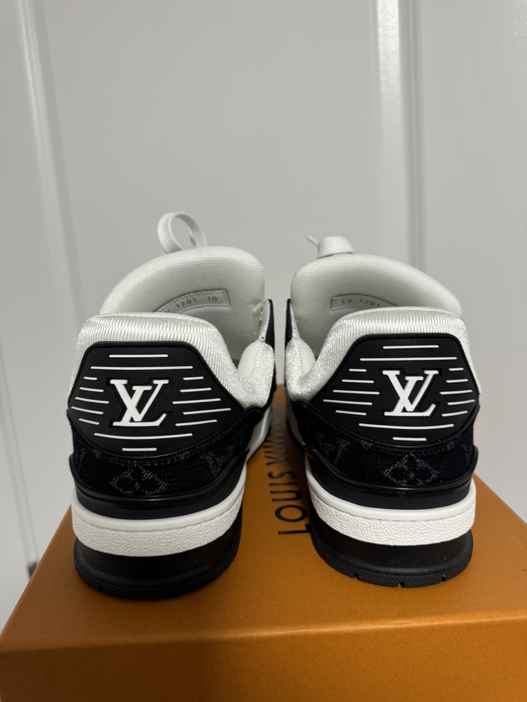 LV trainer - photo 4