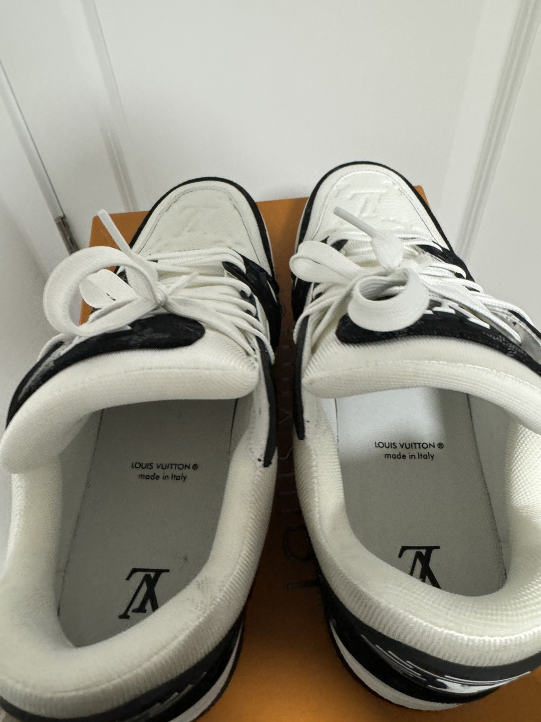 LV trainer - photo 5