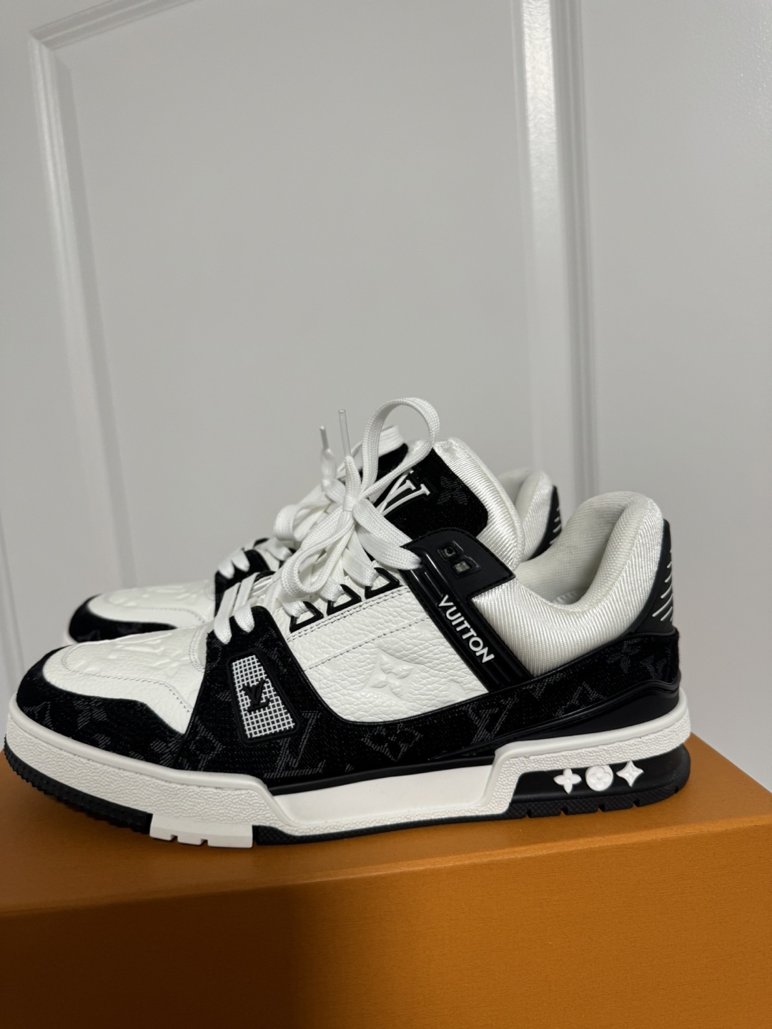 LV trainer - photo 3
