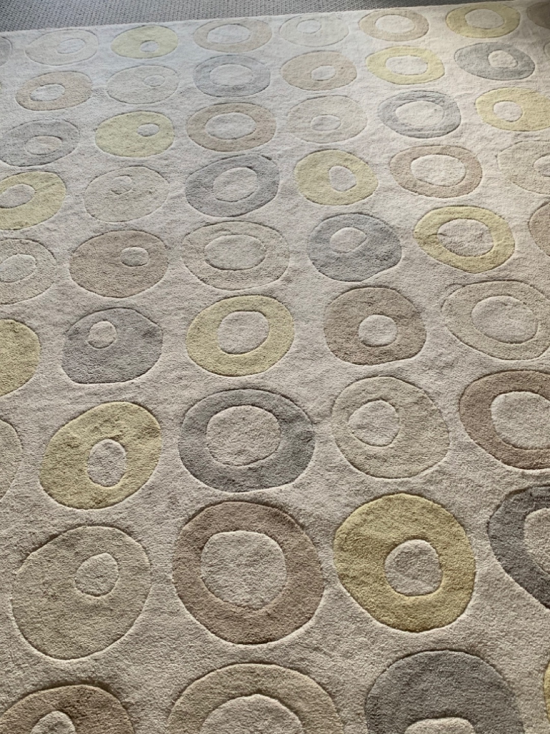 Large Abstract Circle Pattern Area Rug - photo 4