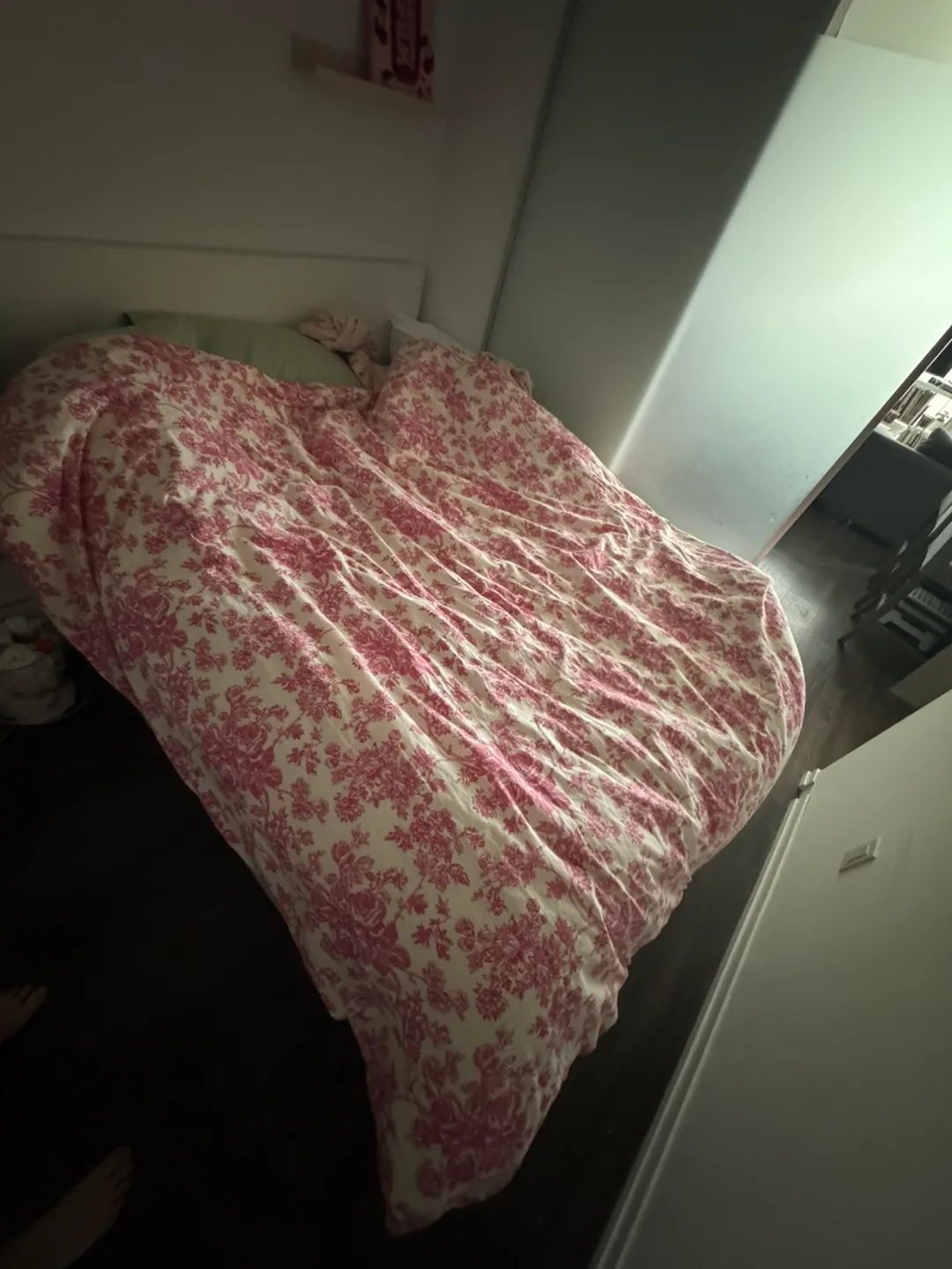 Urban Outfitters Toile Duvet Cover Set - Full/Queen - Pink image indicator(6)