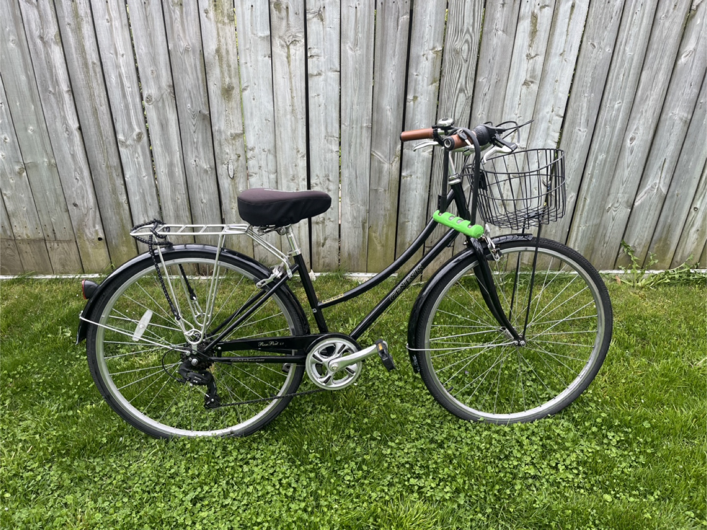 Genesis Cruiser Bike