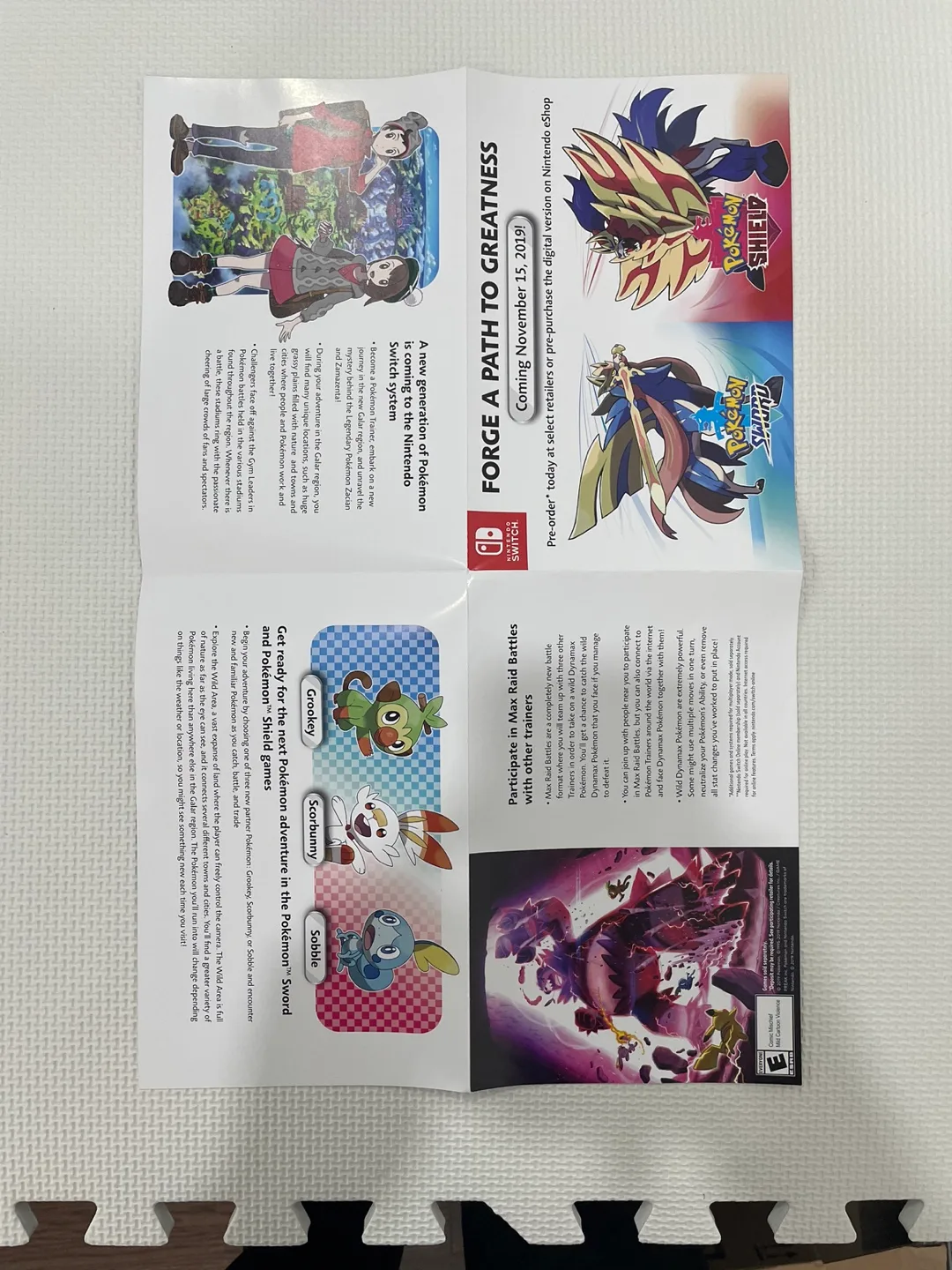 Pokemon Sword and Shield Promotional Poster and Flyers image indicator(2)