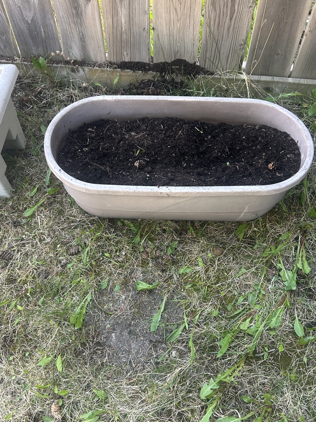 Assorted Plastic Planters & Trays - photo 5