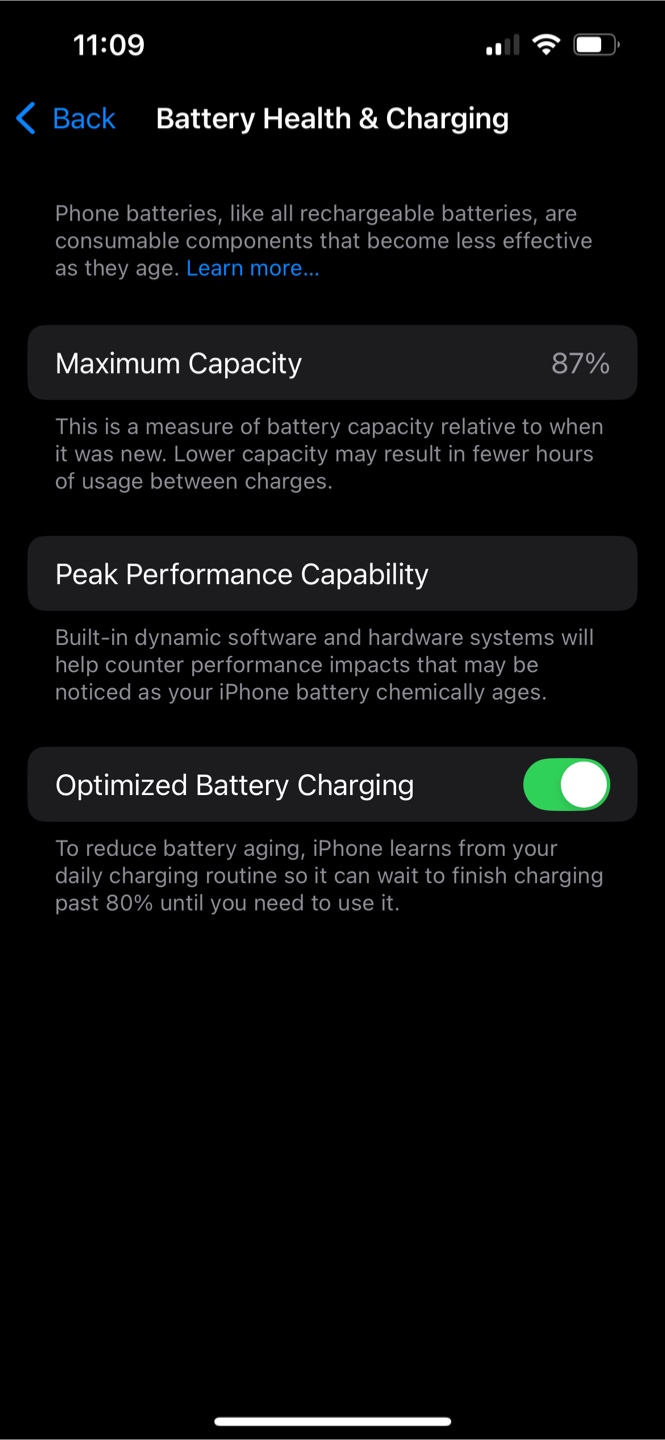 iPhone 13 - 256 GB - photo 4