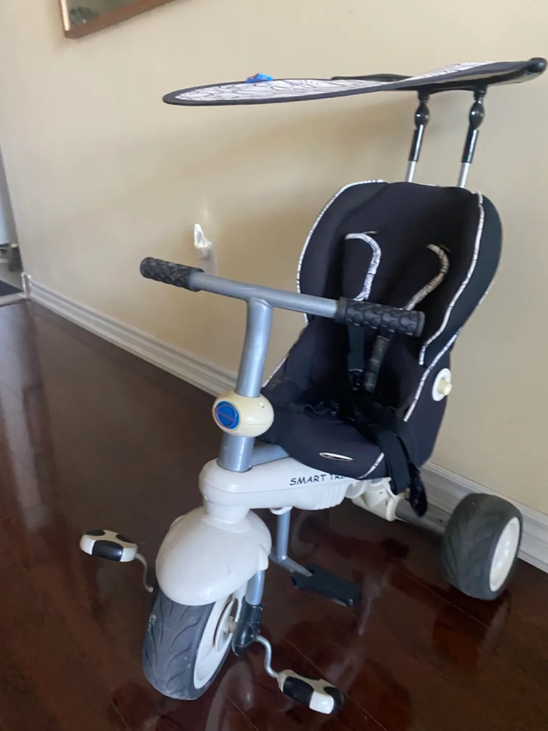 Smart Trike 3-in-1 Tricycle image indicator(4)