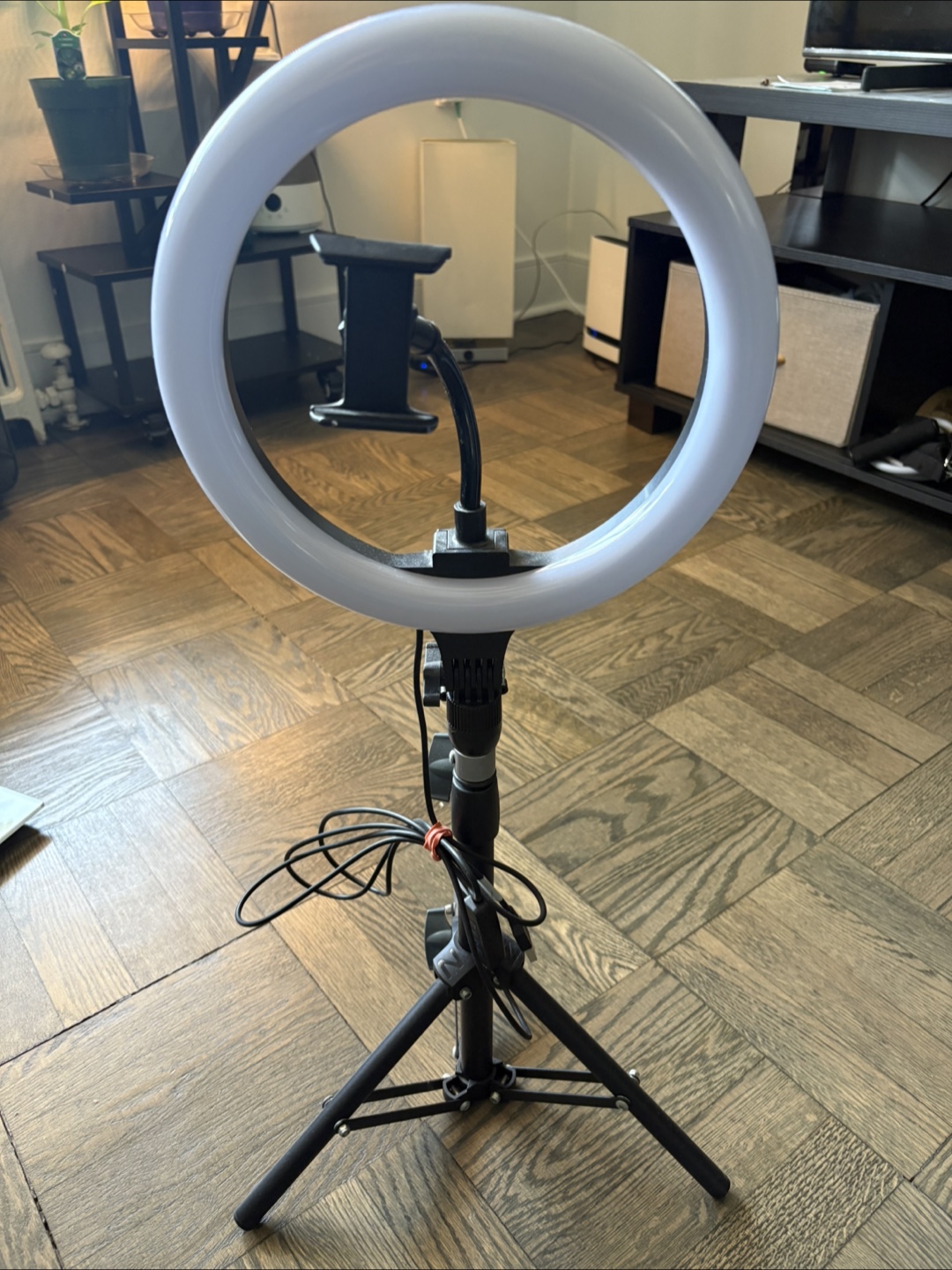 Ring Light with Tripod Stand and Phone Holder
