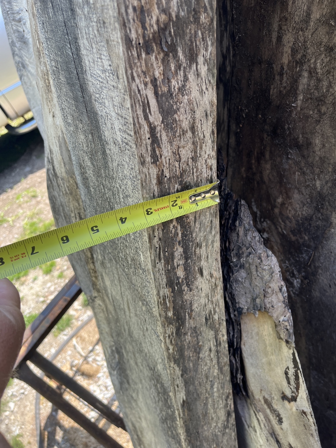 Large Live Edge Wood Slab - Perfect for Furniture or Decor - photo 5