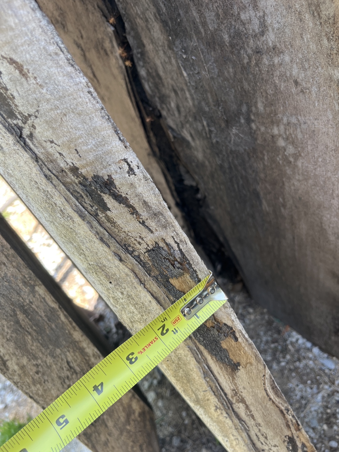 Large Live Edge Wood Slab - Perfect for Furniture or Decor - photo 4