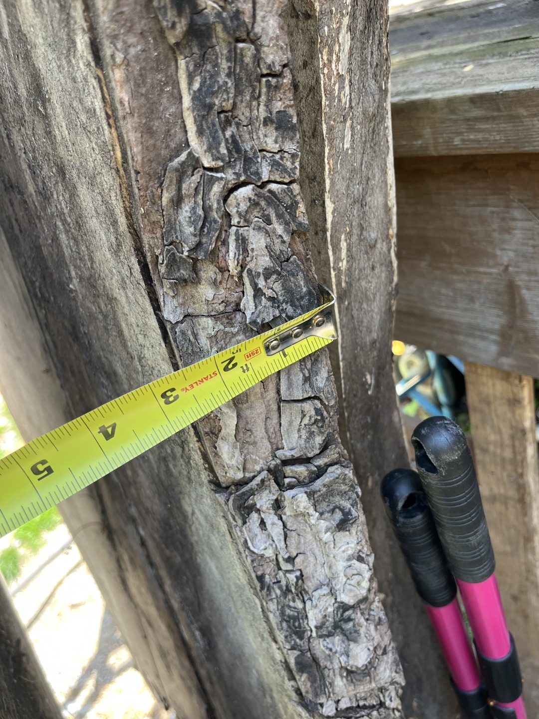 Large Live Edge Wood Slab - Perfect for Furniture or Decor - photo 3