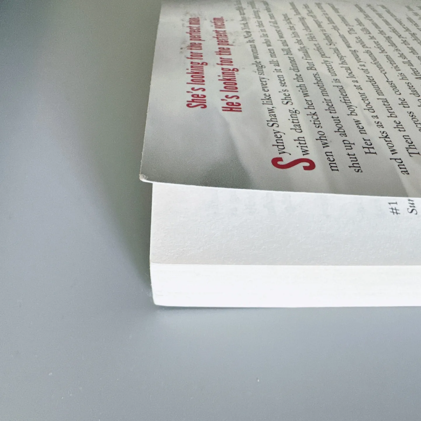 The Boyfriend by Freida McFadden - Paperback image indicator(5)