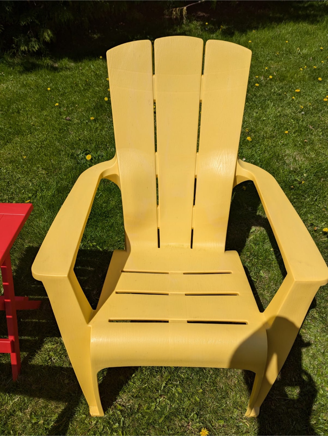 Moulded plastic resin Muskoka chairs and Table - photo 4