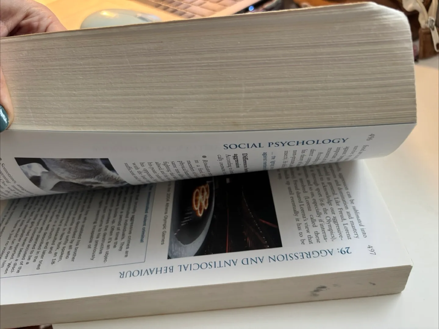 Richard Gross' Psychology Textbook - 5th Edition image indicator(4)