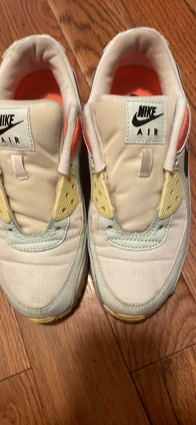 Nike Air Max 90 and Nike Flex Trainer 8 Sneakers