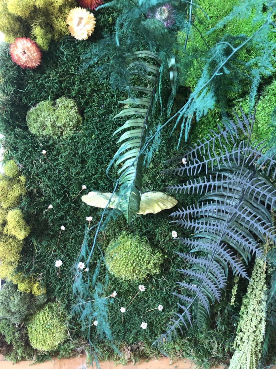 Gorgeous preserved moss wall art - photo 2