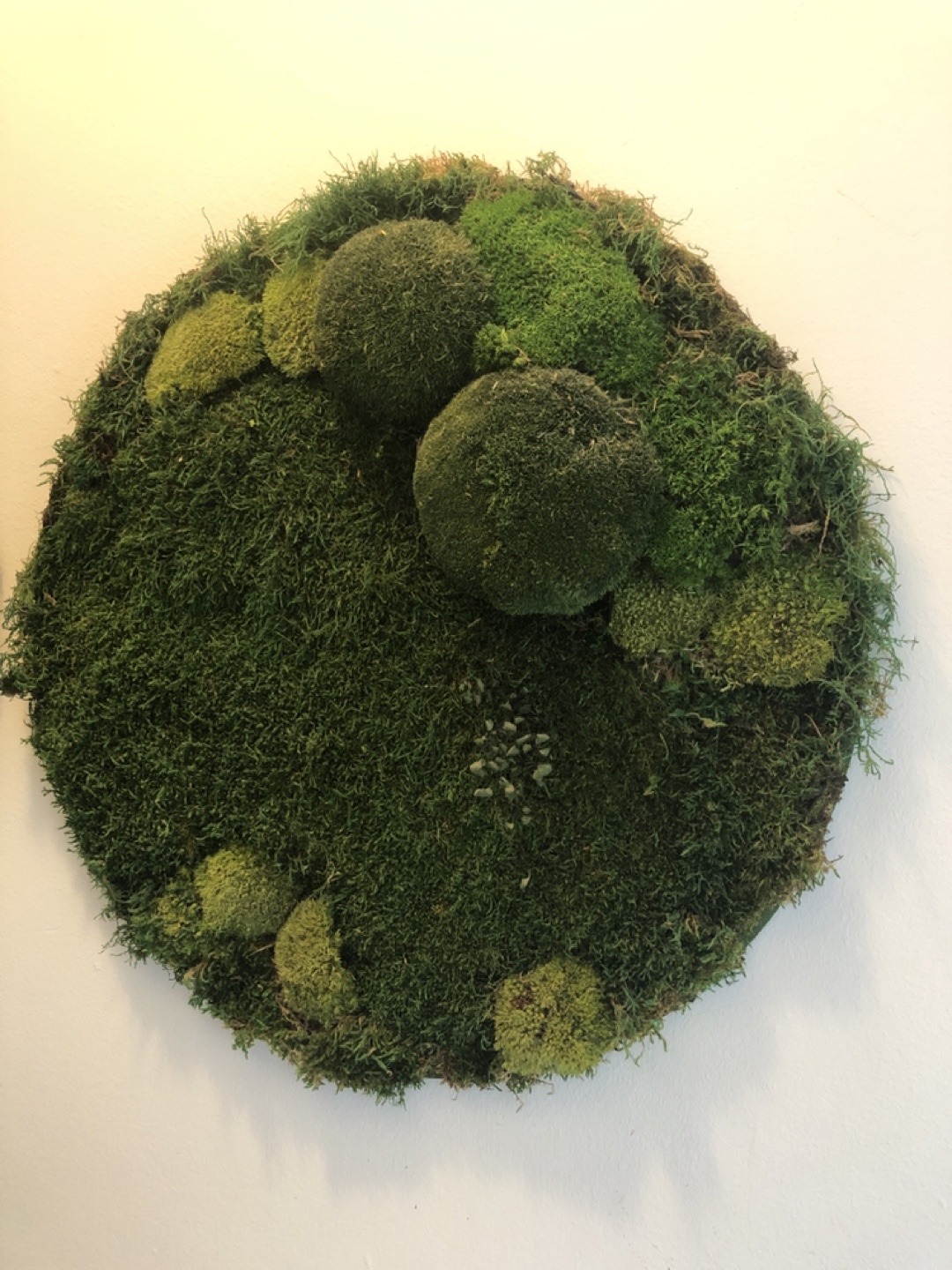 Round preserved moss wall art - photo 3