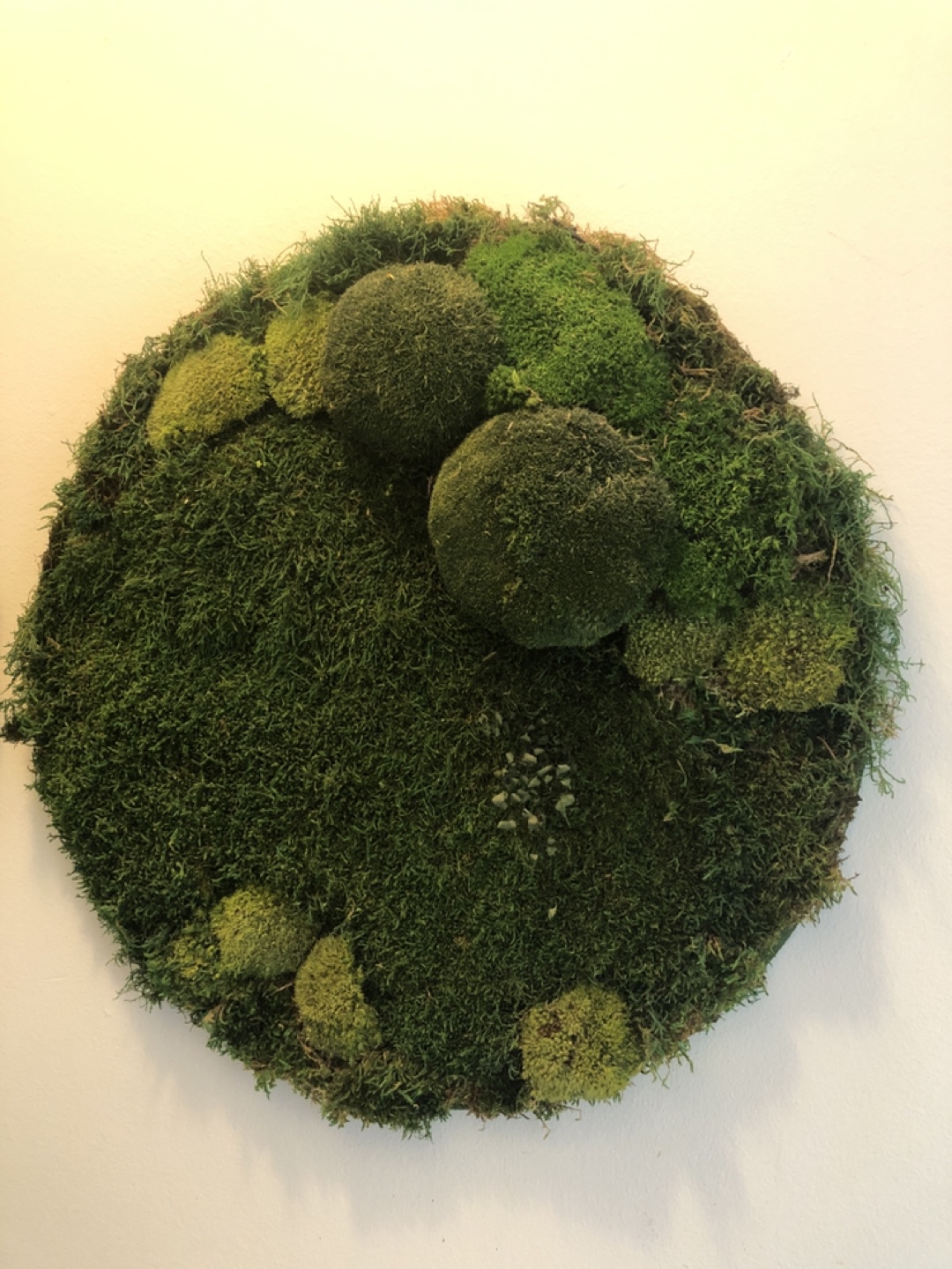 Round preserved moss wall art - photo 2