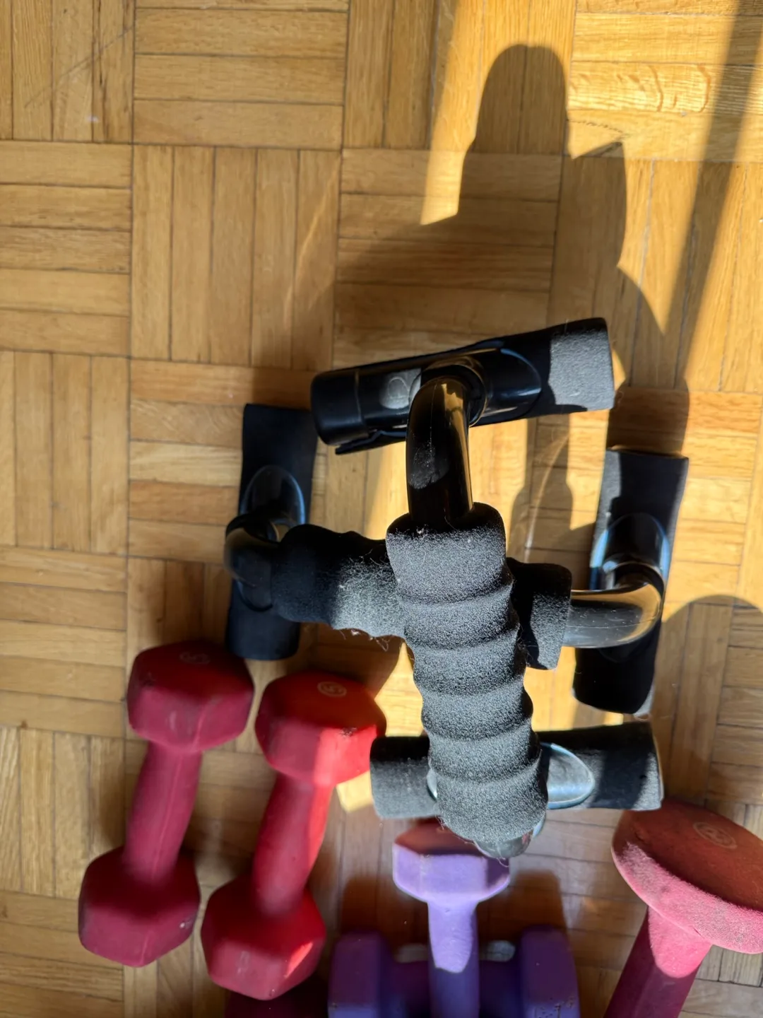 #moving Everlast, Boxing Gloves & Dumbbells image indicator(4)